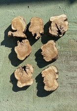 Fette di legno di ulivo