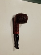 Pipa Amorelli Snails