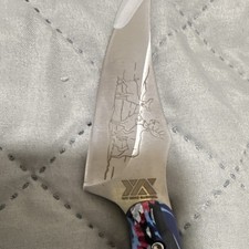 Stainless Steel Skinner Knife