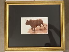 Toro Bravo, Roberto Montanari