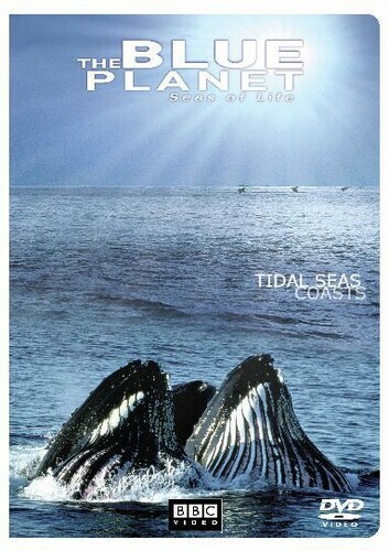 The blue planet seas life - blue,