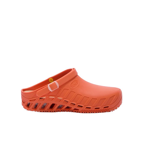 Scholl clog evo zoccoli - dr.scholl's,