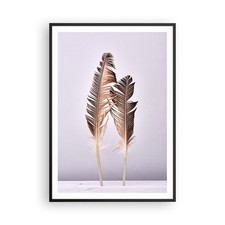 Poster 70x100cm Due piume