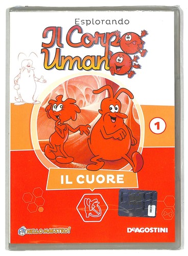 Ebond esplorando corpo - esplorando, il