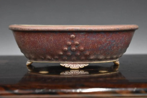 Eimei vaso per bonsai