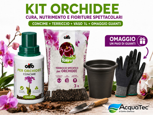 Kit cura orchidee concime - cura, cifo