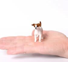 Jack Russell Terrier cane