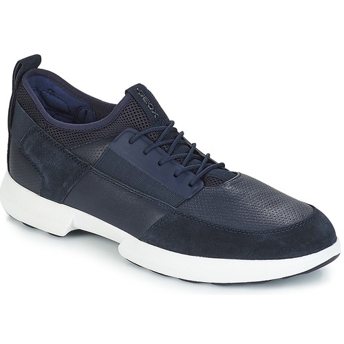 Geox traccia blu sneakers - ,