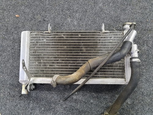 Radiatore ruota yamaha - ruota, tz250