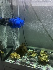Acquario - ,