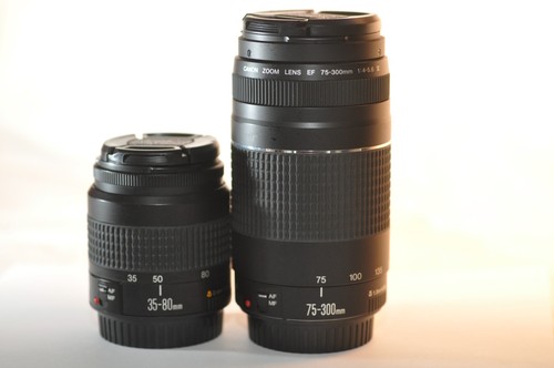 Set due obiettivi canon - canon, ef