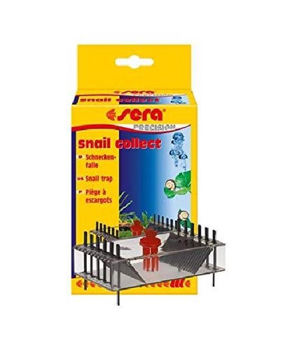 Sera trappola per lumache - per,