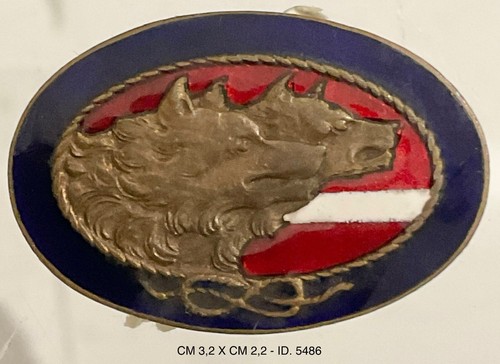 Regio esercito regg lupi - esercito, 78°