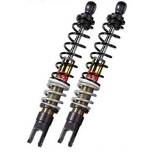 Coppia ammortizzatori