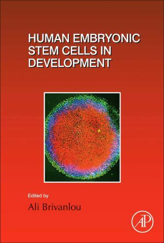 Human embryonic stem cells - human,