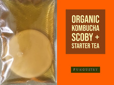 Organic Kombucha Scoby +