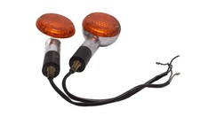 Blinkerpaar Posteriore