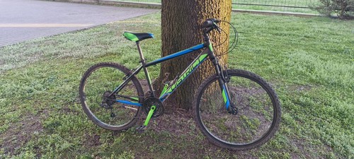 Mountain bike ruote - ruote,