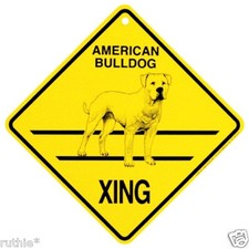 American Bulldog Dog Crossing