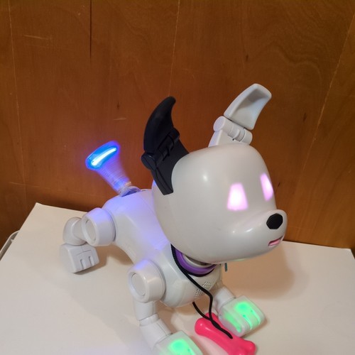 Robot cane interattivo - robot, con