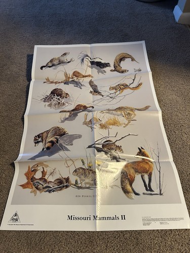 Poster vintage 1991 - vintage,