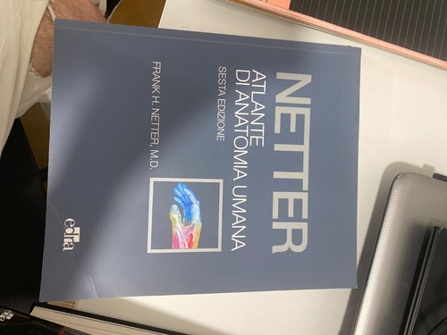 Atlante anatomia netter - atlante, 6