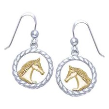 Frisone Cavallo Corda Treccia