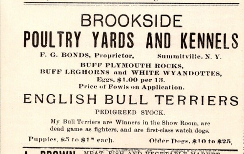 1900 brookside pollame - 1900,
