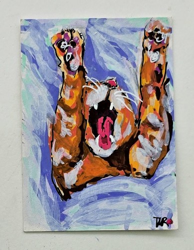 Originale aceo zenzero - aceo, gatto