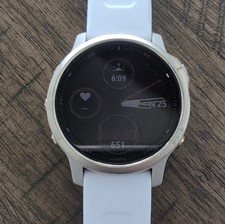 Garmin fenix 6s Zaffiro