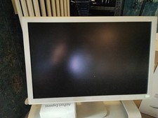 Apple Cinema Display A1081 20"