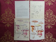 I Funghi Velenosi di Arietti, Nino e Renato Tomasi Brescia 1969