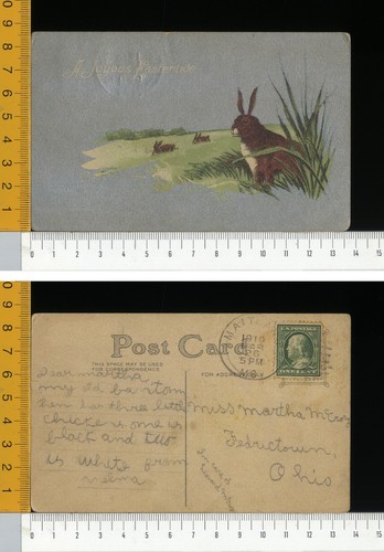 V0200 buona pasqua easter - buona,