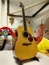 chitarra acustica usata GREG