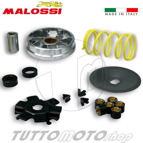 513863 malossi variatore - 513863,