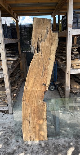 Tavola legno ulivo - tavola,