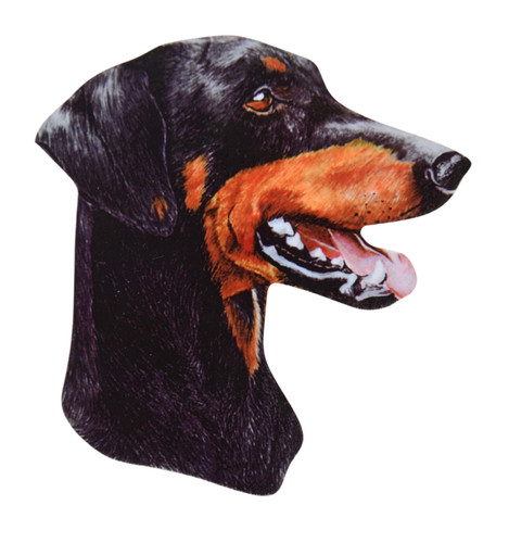 Targa doberman dobermans - doberman,