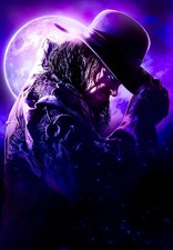 POSTER WWE GIGANTE 24”x36”