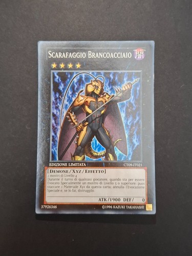 Scarafaggio brancoacciaio - scarafaggio,