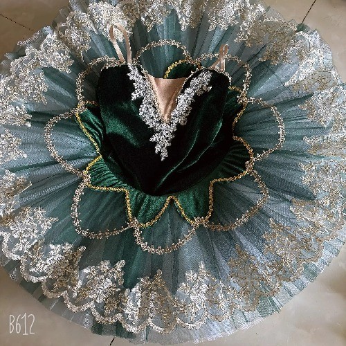 Balletto professionale tutù