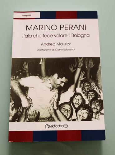 Libro marino perani ala - l'ala, che