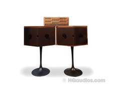 Coppia diffusori BOSE 901