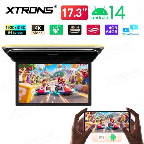 Soffitto auto 3 - tv, 17,3"