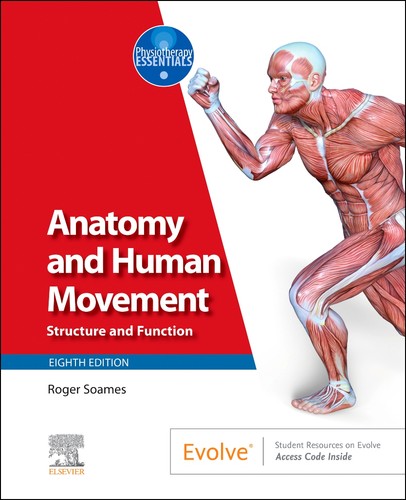Anatomy and human movement - anatomy,