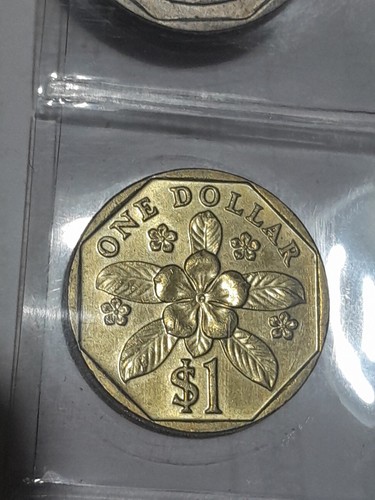 Singapore dollaro 1995 - singapore, 1