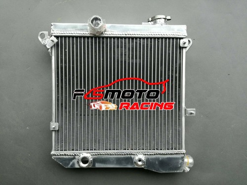 Radiatore per autobianchi - radiatore,
