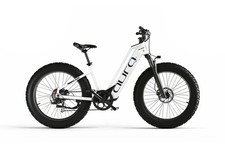 Cyrusher Bici Elettrica