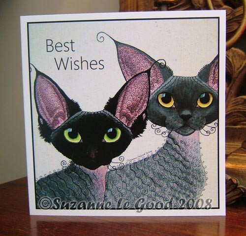 Devon rex cat - rex,