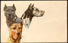 Regno d'Italia 1941 cartolina Illustratore Degami vgt. 20 c. Fratellanza d'Armi