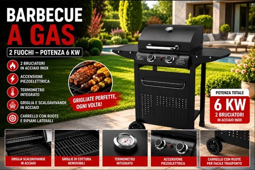 Barbecue gas fuochi - barbecue, con